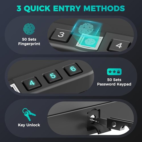 **Regine Switzerland Biometric Handgun Safe - Quick Access Fingerprint Lock for Home & Car**