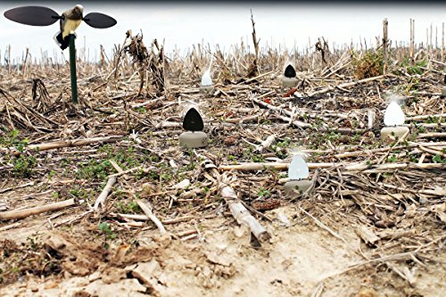 Voodoo Dove Spinning Wing Decoy Set - Realistic Motorized Dove Decoys for Hunting