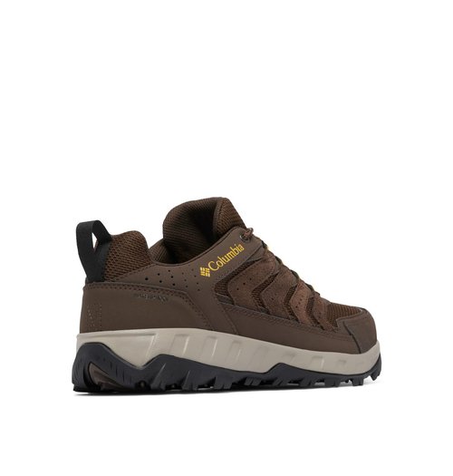 Columbia Mens Strata Trail Low Waterproof, Cordovan/Golden Yellow, 9.5