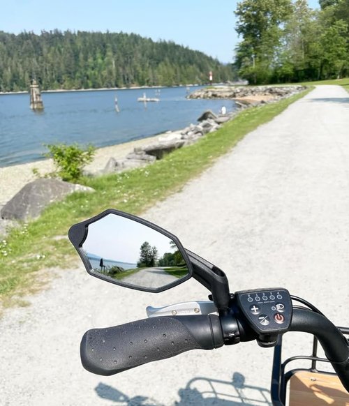 Hafny New Handlebar Bike Mirror, HD Glass Lens, Adjustable & Rotatable Safe Rearview Bicycle Mirror, Blast-Resistant, HF-M6002-FR053 (Anti-glare Blue Left Side)
