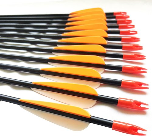 Archery 28" Fiberglass Arrows - Perfect for Beginners, Women & Kids | Pack of 12 for Recurve Bow