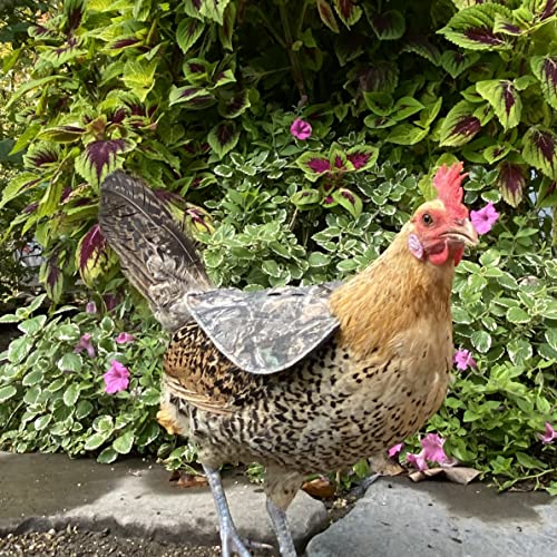 Chicken Mating Saddle for Backyard Hens - Medium, Camouflage, Durable & Comfortable