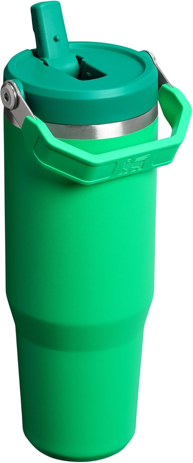 STANLEY IceFlow 2.0 Tumbler - 30 oz Insulated Stainless Steel Water Bottle with Flip Straw & Handle | Meadow