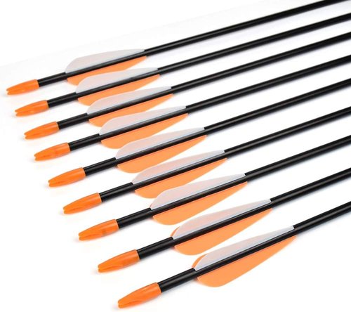 Elong Fiberglass Arrows - Target Shooting Practice for Youth & Beginners | 24-30 Inch Sizes