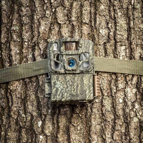 Trail Camera with Night Vision 40MP HDR Stealth Security & Wildlife Monitoring