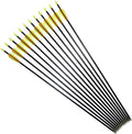 Skiennix Fiberglass Arrows - Target Shooting Safety Glass for Youth & Beginners | 24-30 Inch, 6/12 Pack