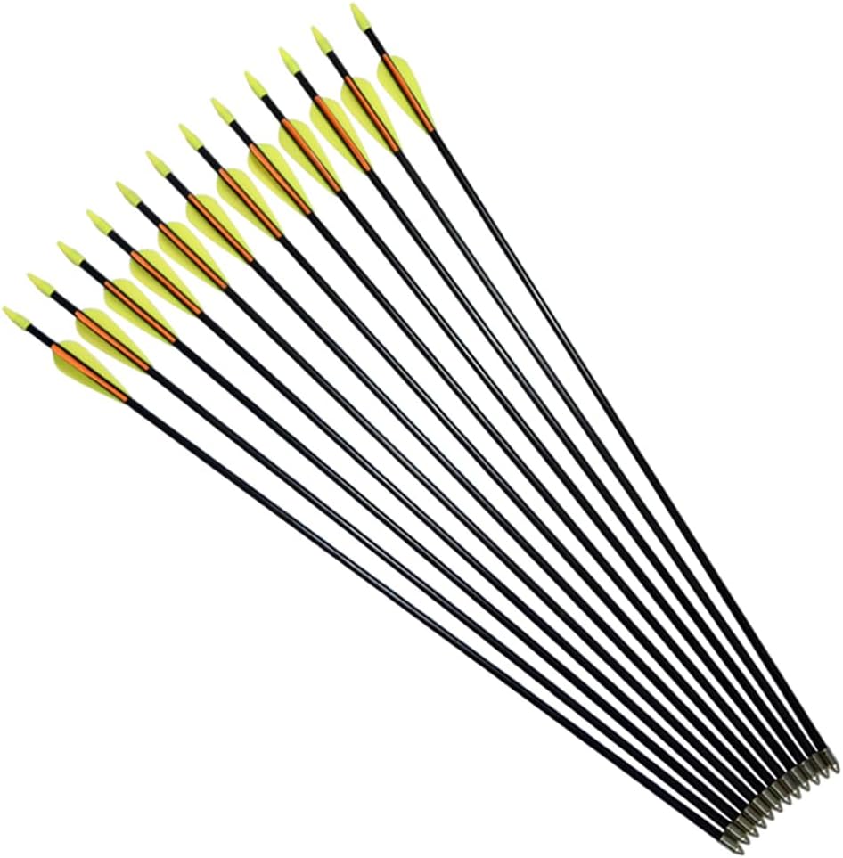 Skiennix Fiberglass Arrows - Target Shooting Safety Glass for Youth & Beginners | 24-30 Inch, 6/12 Pack
