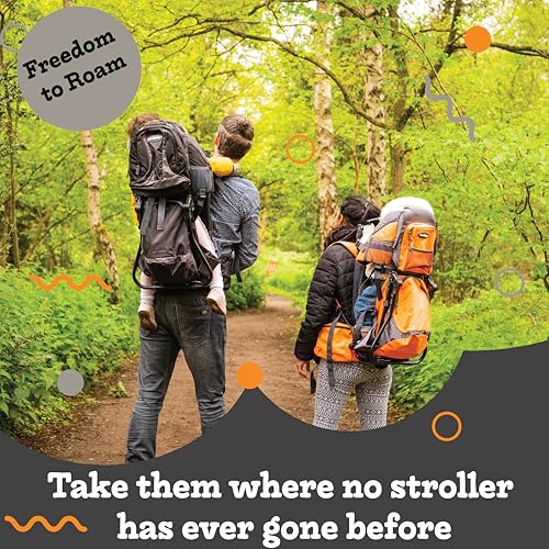 Hiking Baby Carrier Backpack with Sun Visor - Toddler & Child Carrier, Black/Grey