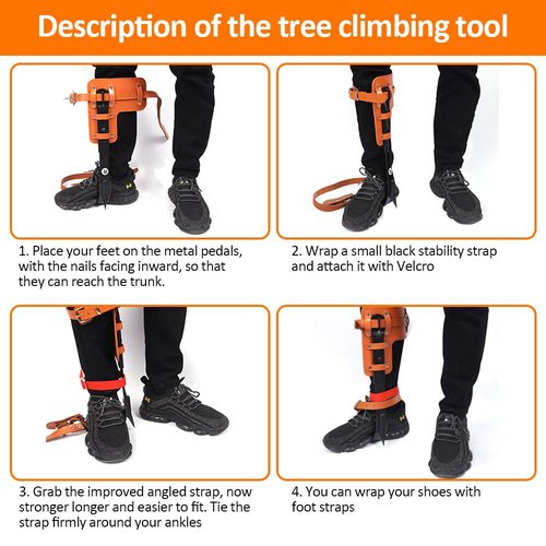 MITOJOSYEER Tree Climbing Gear - Tree Climbing Spikes Suitable for Tree Work, Fruit Picking,Tree Climbing,Logging of Tree Climbing Kit