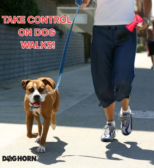 DogHorn XL Air Horn - Effective Training Tool & Outdoor Safety Alarm for Dogs | Scare Coyotes & Bears (1 Pack)