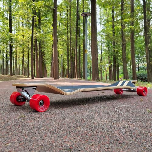 RIMABLE 41 Inch Drop Down Longboard - SNAILFLOWER Version, Complete Cruiser