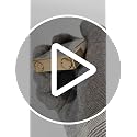JTDunant White Gold Brass Lighter with Peace Dove & Crisp Ping Sound