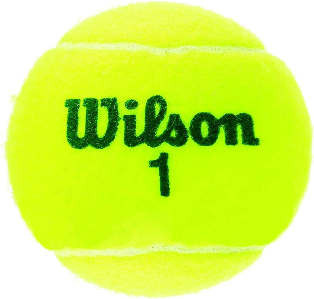 Wilson Championship Tennis Balls - High-Performance, Durable, Official Tournament Size | 3-Pack