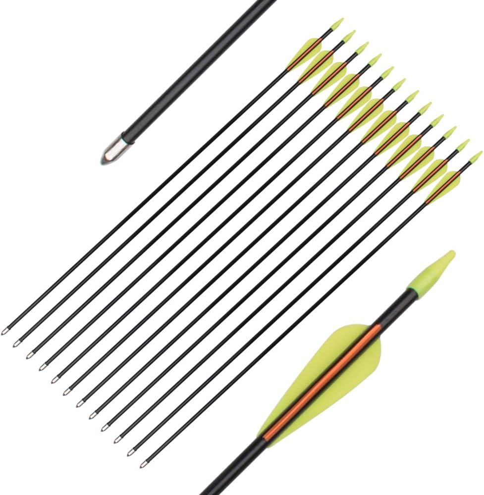 Skiennix Fiberglass Arrows - Target Shooting Safety Glass for Youth & Beginners | 24-30 Inch, 6/12 Pack