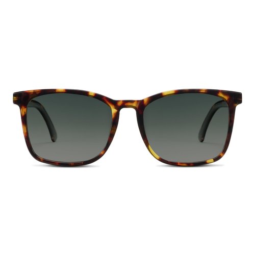 Peepers by PeeperSpecs Mateo Oversized Bifocal Sun