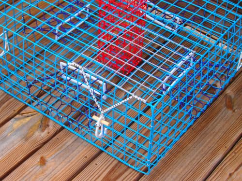 Florida Large Blue Crab Trap - 11x24x24 Saltwater Crab Pot - Heavy Duty PVC Coated Wire - Variation: FL Large Trap Only