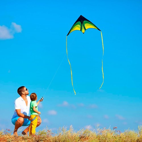 Delta Kite Set - Easy Launch for Kids & Adults | Perfect for Beach & Park Activities (Speed Triangle - G, 1)
