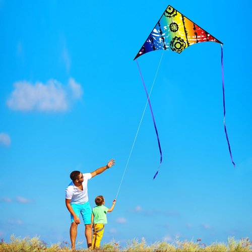 HONBO Large Delta Kite - Easy to Fly for Kids & Adults | Colorful Tail & String Line Included