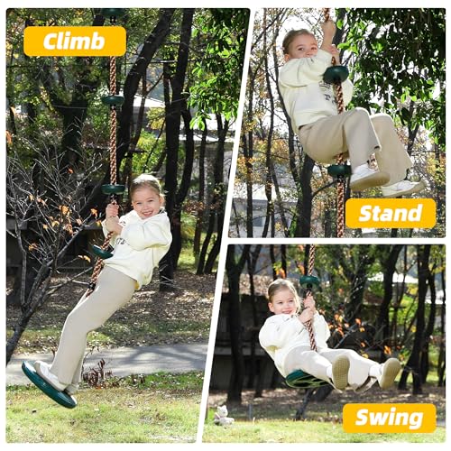 Disc Swing for Kids with Climbing Rope, 220 lb Capacity, Tree Swing Accessory