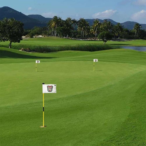 2BUT Golf Pin Flag, Bushwood Country Club, Green, 8"x6", Fade Resistant, Nylon, Suitable for Indoor/Outdoor
