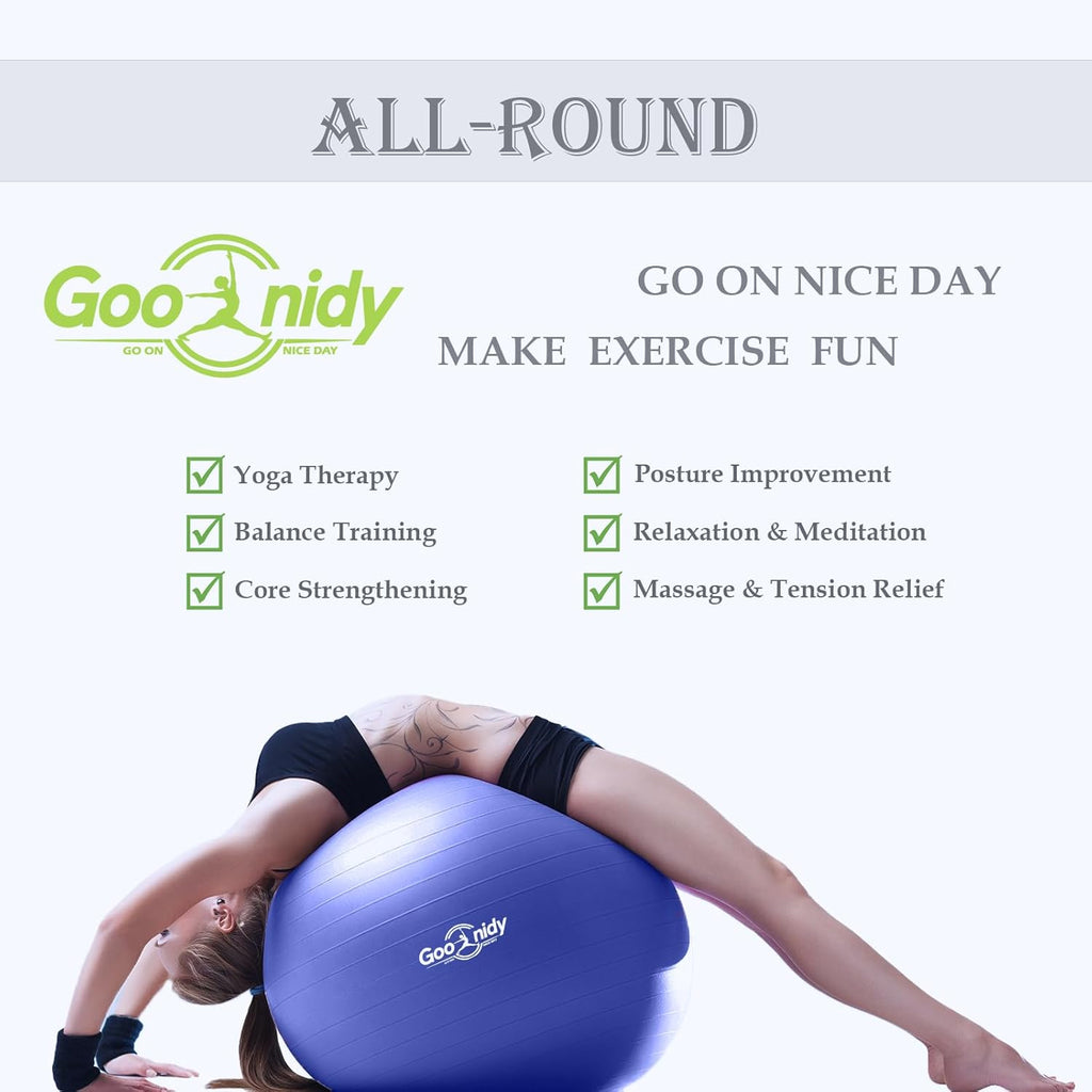 Skiennix Anti-Burst Exercise Ball - 2200lb Support for Pilates, Yoga & Physical Therapy | Includes Pump