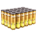Penn ATP Regular Duty Tennis Balls (Case)