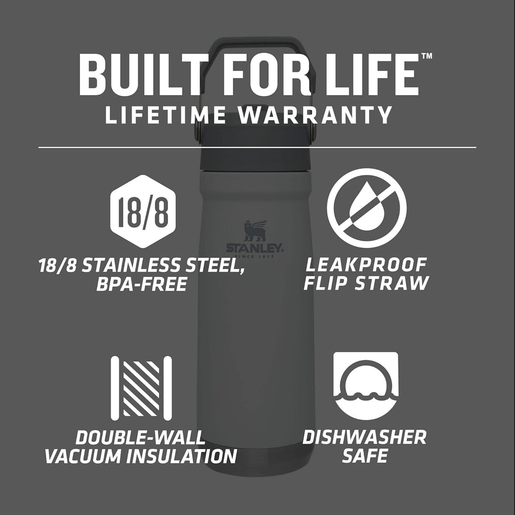 STANLEY IceFlow Water Bottle - 22 oz Insulated Stainless Steel | Built-In Straw | Lightweight & Leak Resistant | BPA-Free | Polar