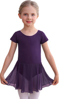 Deep Purple 6-8 Years Toddler Ballet Leotard with Skirt Set — Short Sleeve Dance Outfit