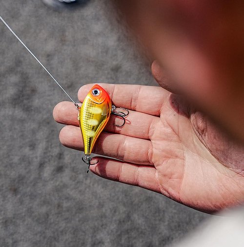 Rapala Rippin' Rap, Fishing Lure, Hard Bait, 2-1/2", Pink Tiger UV
