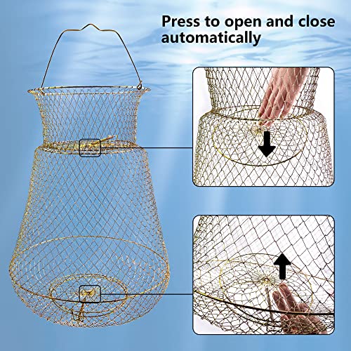 Medium Galvanized Steel Fish Basket - 13x22 Inch Portable Collapsible Fish Trap, Gold