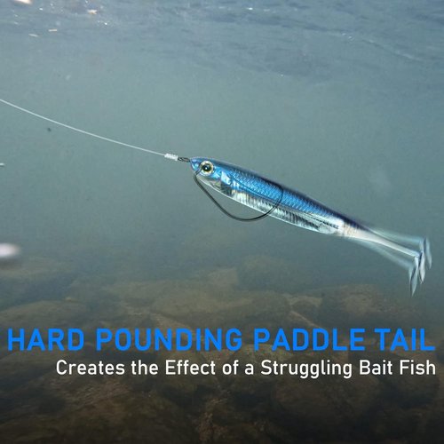 Dr.Fish Paddle Tail Swimbaits - Soft Fishing Lures for Bass | 2.75-4.75 Inches, Freshwater & Saltwater