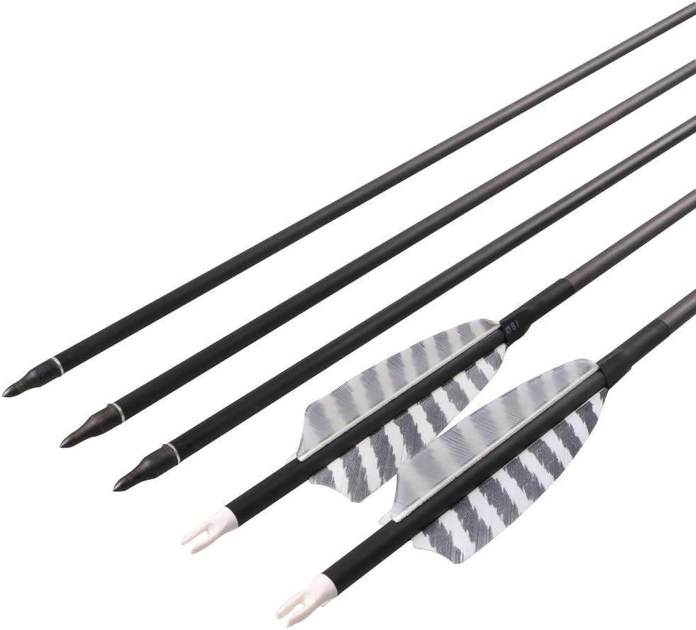 Skiennix 32-Inch Carbon Archery Arrows - Spine 400 with Removable Tips & 4-Inch Turkey Feathers | 6 Pack for Hunting & Target Practice