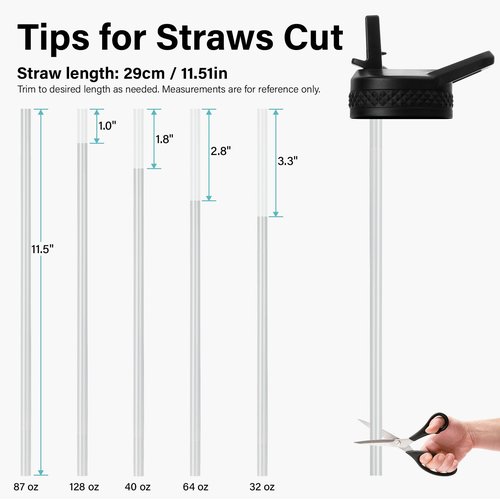 DYSANKY Straw Lids for Wide Mouth Water Bottles - Handle Design, with Straw Brushes, Leak - Proof Accessories
