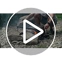 Adventure Seeka 24-Inch Heavy Duty Folding Campfire Grill with Swivel Grate, Food-Safe Cooking Surface for Outdoor Camping