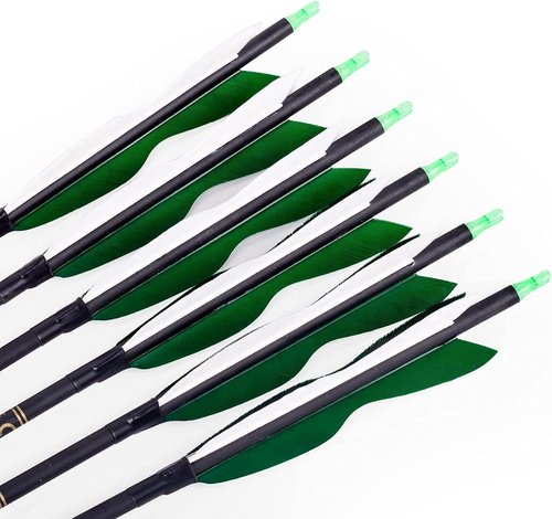 Carbon Hunting Arrows - 31" Archery Target Practice with 5" Turkey Feathers | Spine 500, Pack of 12