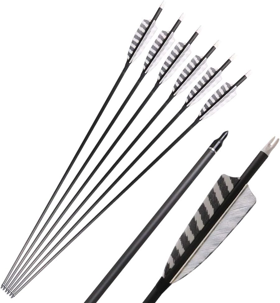 Skiennix 32-Inch Carbon Archery Arrows - Spine 400 with Removable Tips & 4-Inch Turkey Feathers | 6 Pack for Hunting & Target Practice