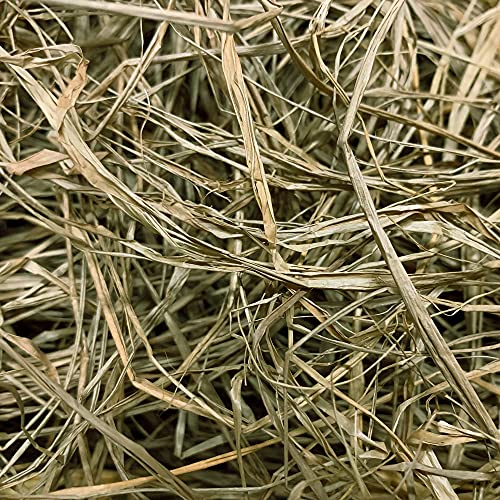 Momarsh Blind Grass Bundle Pack - Olive, 5 Pounds for Waterfowl Hunting