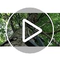 Big Game 20ft Climbing Ladder Sticks for Hunting - Portable Tree Stand Accessory, Variation 1