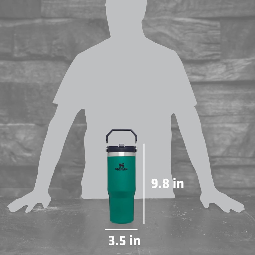 Stanley IceFlow Stainless Steel Tumbler - 30 Oz Vacuum Insulated Water Bottle | Leak-Resistant Flip Straw, Tidepool