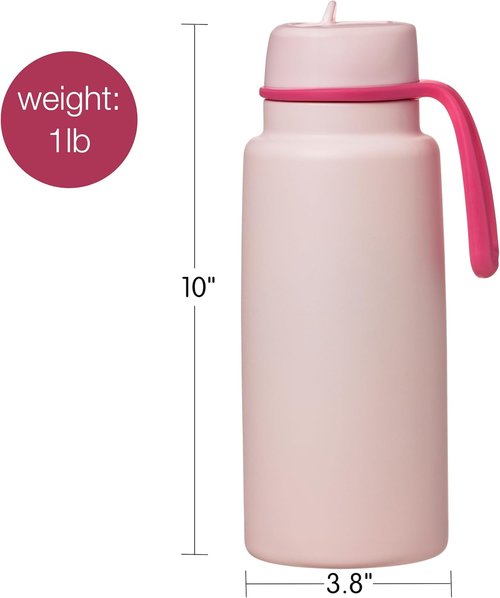 b.box 34oz Insulated Water Bottle - Leak Proof Tumbler with Stainless Steel Straw | 46 Hours Cold - Pink Paradise