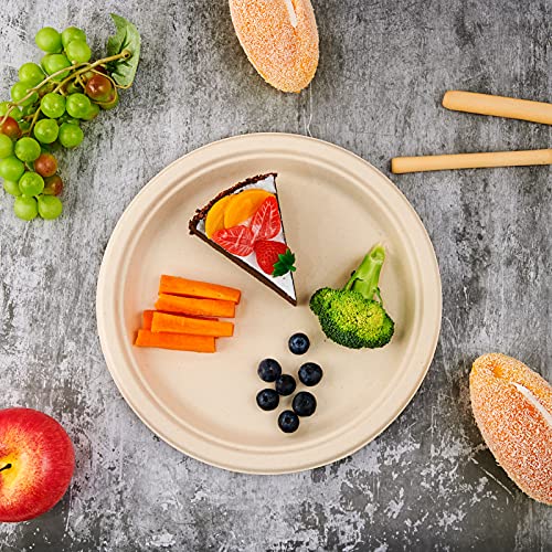 Vplus 500 Pack Compostable 10.25 Inch Sugarcane Fiber Plates - Nature | Bulk Eco-Friendly Dinnerware