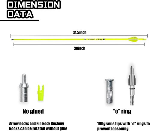 Carbon Arrow Archery | 30-Inch Bright Color Hunting Target Practice Arrows - Spine 500, Pack of 12