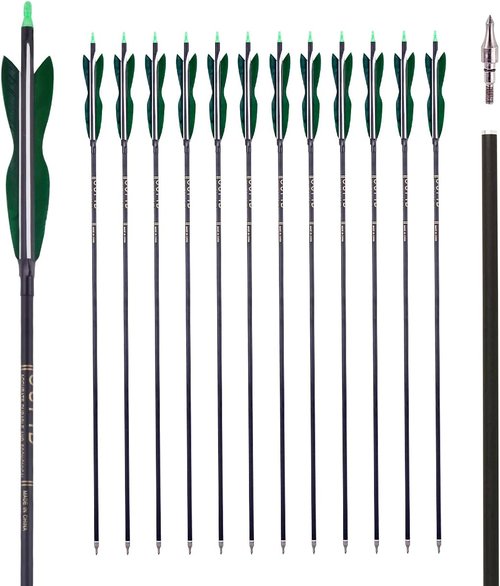 Carbon Hunting Arrows - 31" Archery Target Practice with 5" Turkey Feathers | Spine 500, Pack of 12