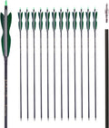 Carbon Hunting Arrows - 31" Archery Target Practice with 5" Turkey Feathers | Spine 500, Pack of 12