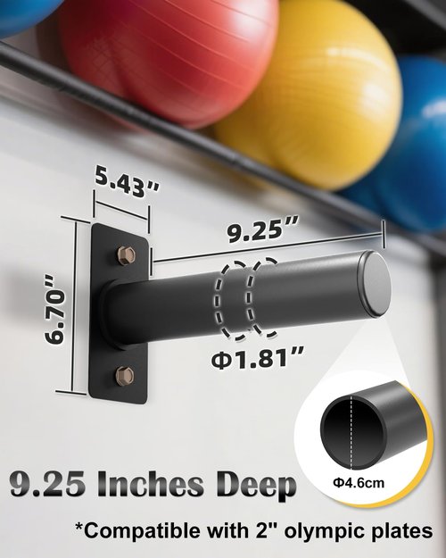 Weight Plate Holder 2Pcs - 330LB Capacity Wall Mounted Weight Plate Rack for 2" Olympic Plates, Weight Plate Storage with Protective Rubber Pads, Heavy Duty Steel, Space Saving Home Gym Storage