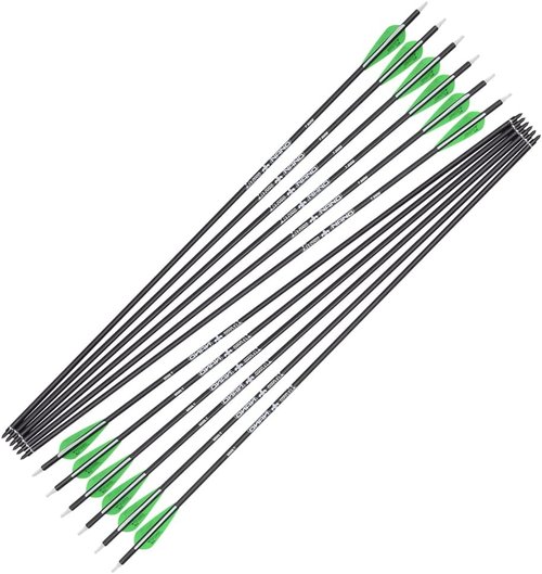 Archery Bow Carbon Arrows - Target Practice with Removable Tips | 26, 28, 30 Inch, Spine 500, 6 or 12 Pack
