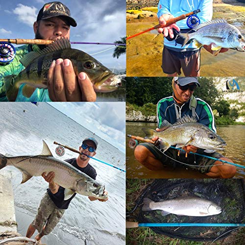 Transparent 7'0'' 3wt Fiberglass Fly Fishing Rod - MAXFLEX Technology, 3-Piece Travel Rod