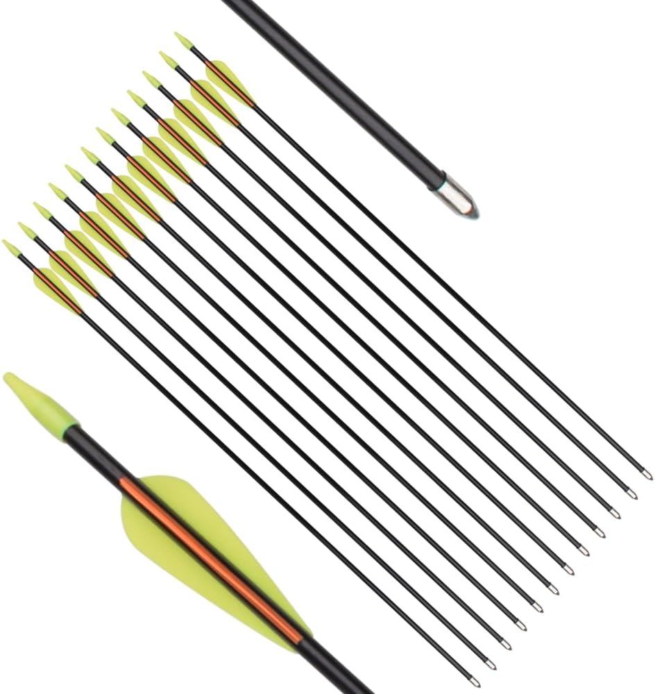 Skiennix Fiberglass Arrows - Target Shooting Safety Glass for Youth & Beginners | 24-30 Inch, 6/12 Pack