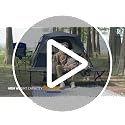 Black Extra Wide Camping Cot for Adults 550 lbs Support Folding Bed with Carry Bag