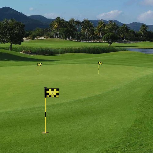 2BUT Standard Tobacco Road Golf Club Pin Flag Practic Putting Green Golf Flag For Backyard Garden Double-Sewn 600D Nylon Miniature Pin Flag Regulation Tube Flag(8"x6")